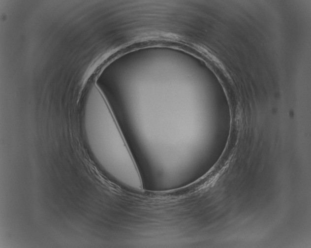 X0000070220877200605261034