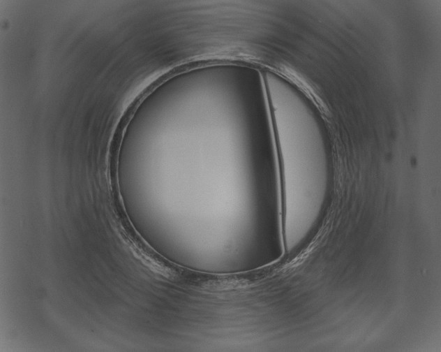 X0000070220884200605261034
