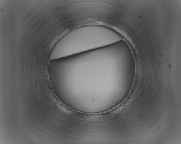 X0000070220889200605261034