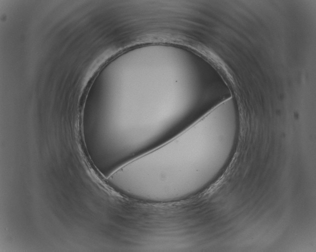 X0000070220896200605261034