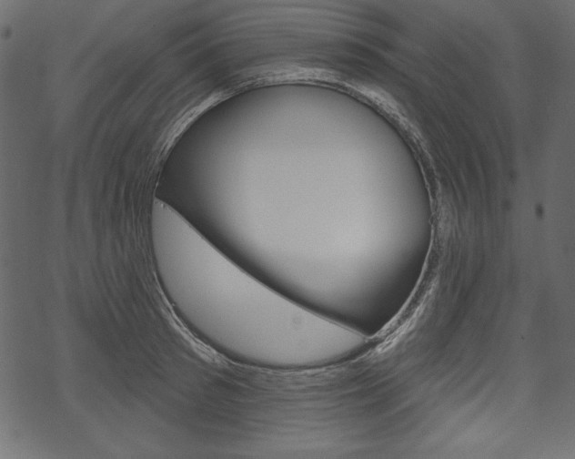 X0000070220897200605261034