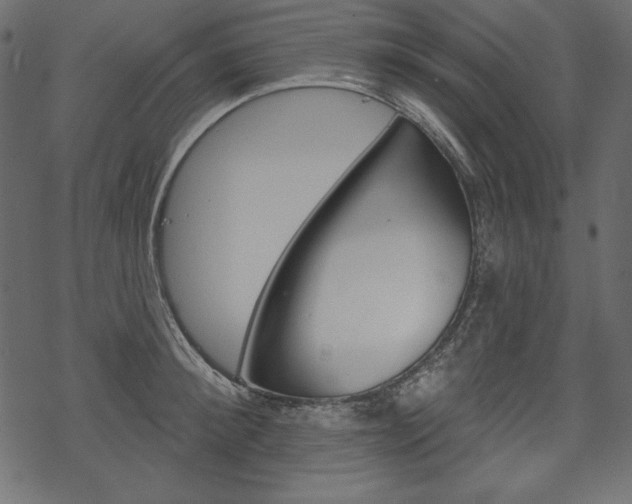 X0000070220900200605261034