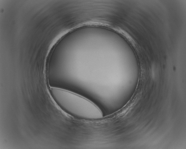 X0000070220902200605261034