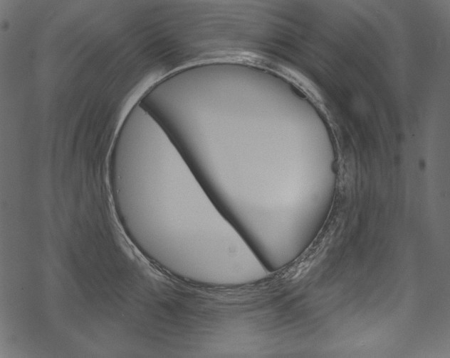 X0000070220907200605261034