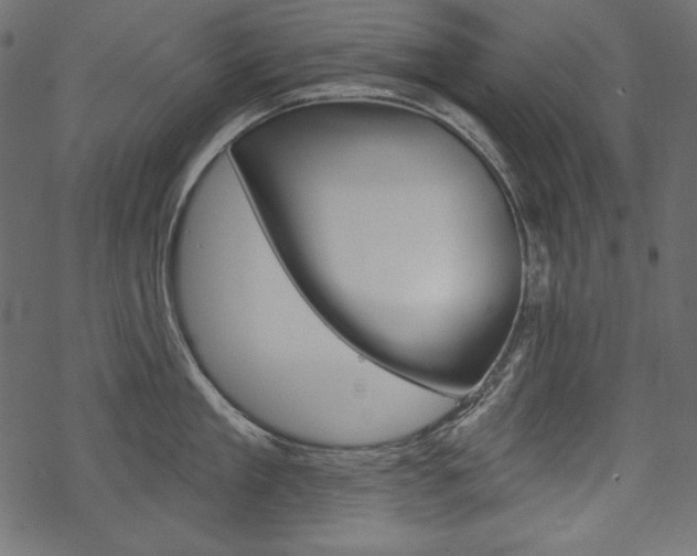 X0000070220909200605261034