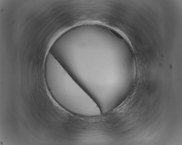 X0000070220911200605261033