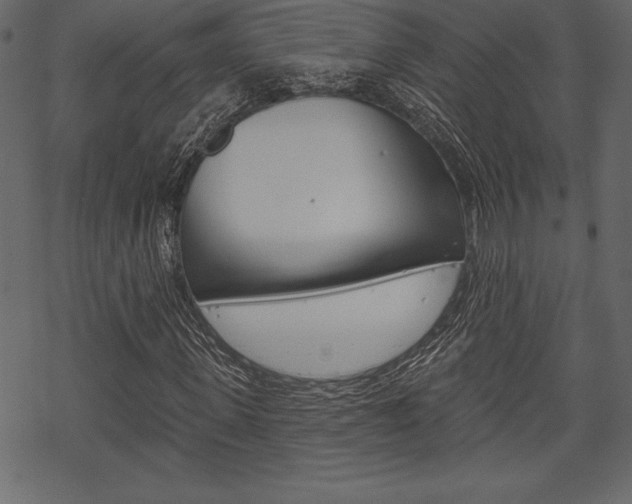 X0000070220915200605261033