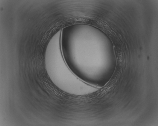 X0000070220916200605261033