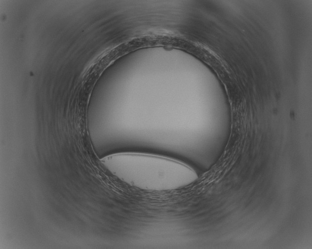 X0000070220919200605261033