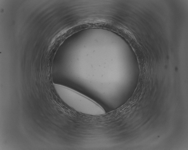 X0000070220920200605261033
