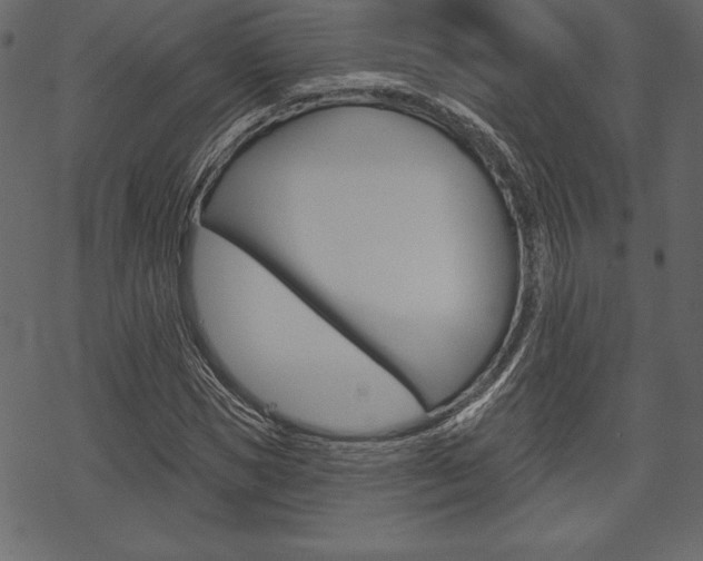 X0000070220921200605261033