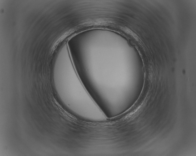 X0000070220922200605261033