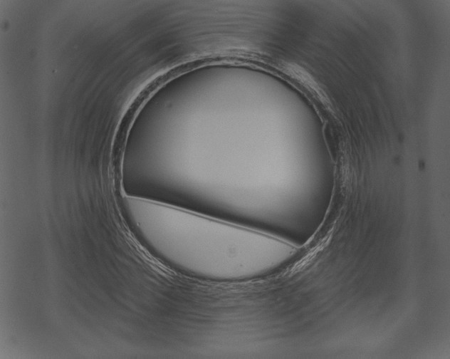 X0000070220924200605261033