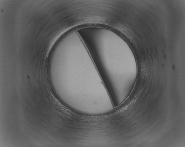 X0000070220926200605261033