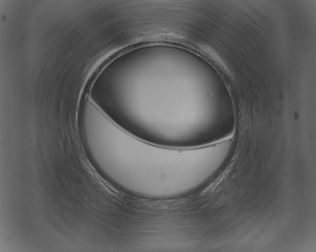 X0000070220932200605261033