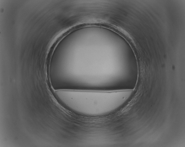 X0000070220935200605261033