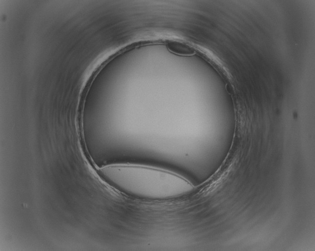 X0000070220943200605261033