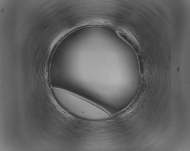 X0000070220944200605261033