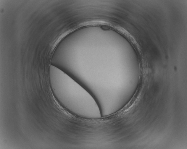 X0000070220945200605261033