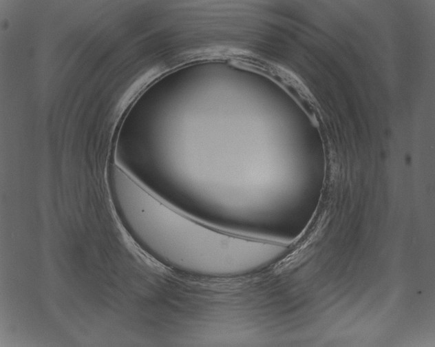 X0000070220946200605261033