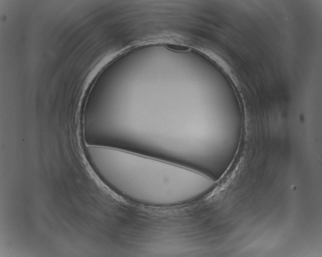 X0000070220949200605261033
