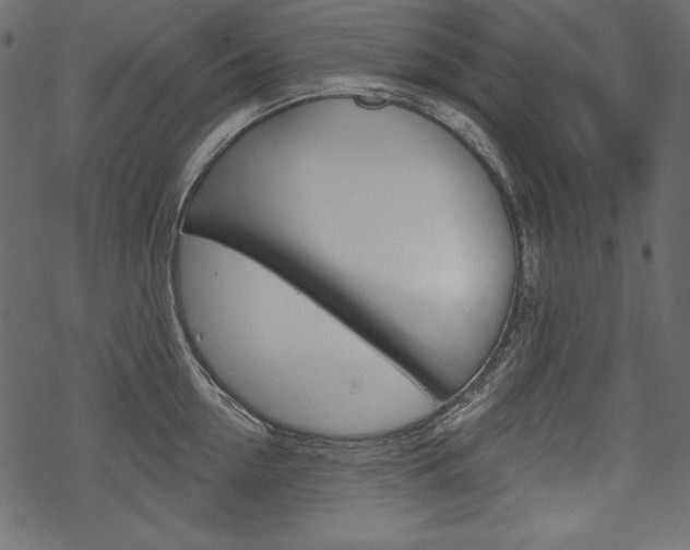 X0000070220954200605261033