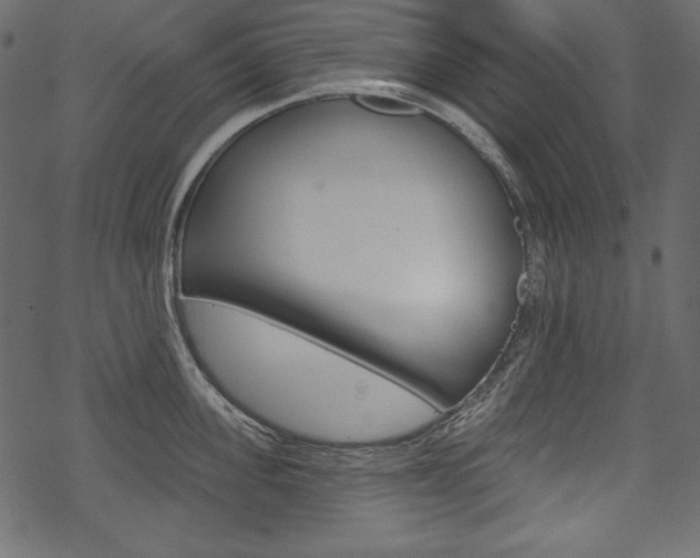 X0000070220955200605261033