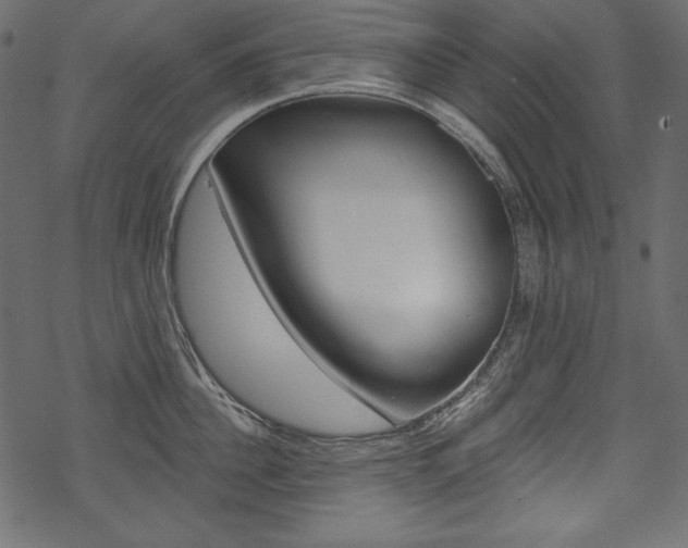 X0000070220956200605261033