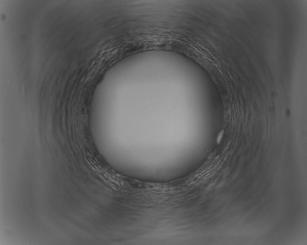 X0000070220961200605261033