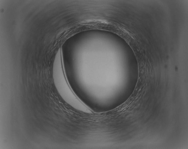 X0000070220965200605261033