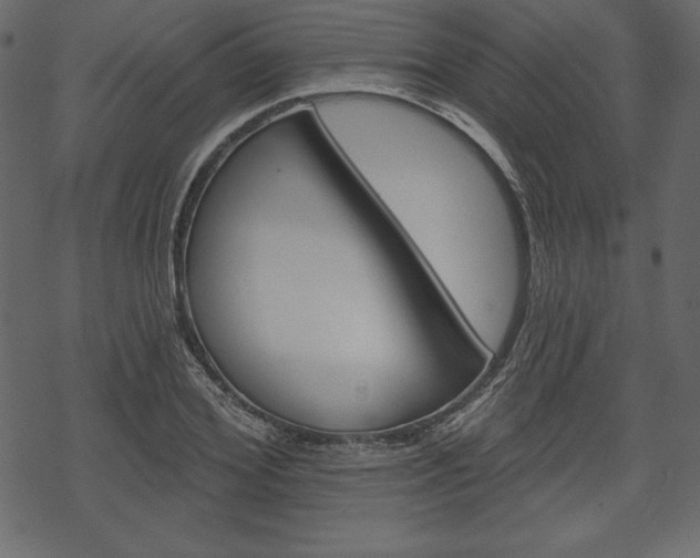 X0000070220980200605261032