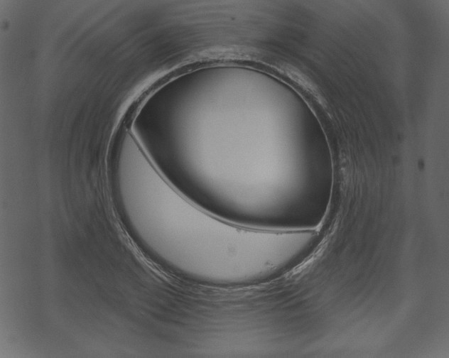 X0000070220981200605261032
