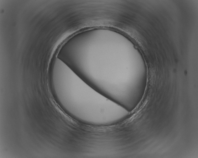 X0000070220982200605261032