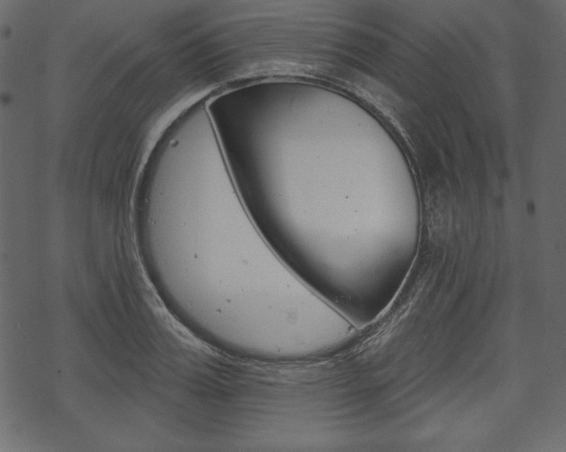 X0000070220987200605261032