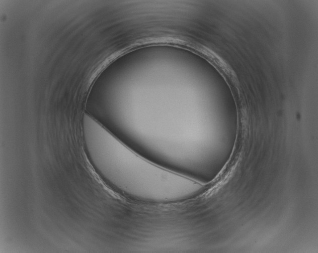 X0000070220993200605261032