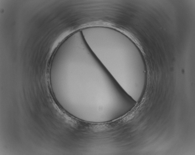 X0000070220998200605261032