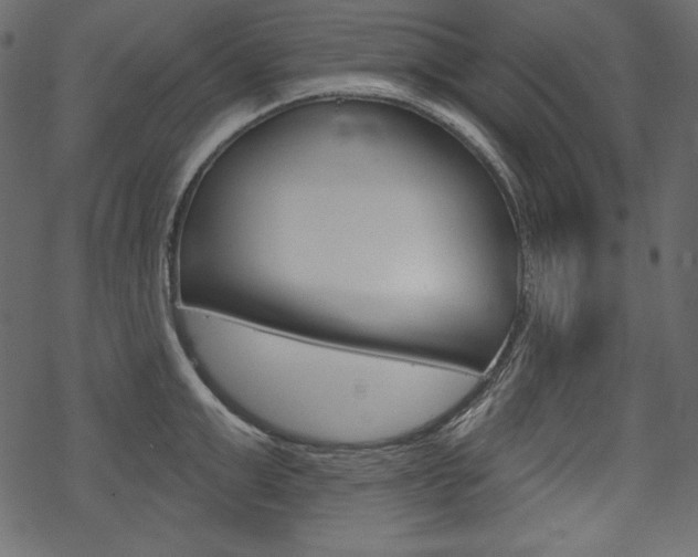 X0000070220999200605261032