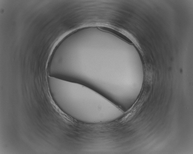 X0000070221004200605261032