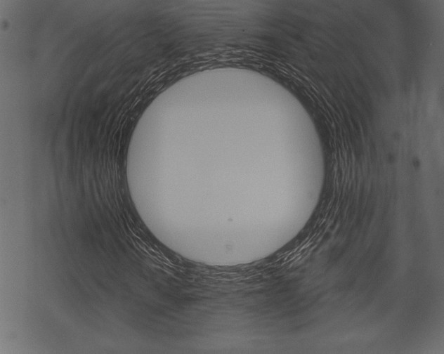 X0000070221010200605261031