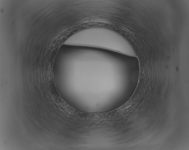 X0000070221014200605261031