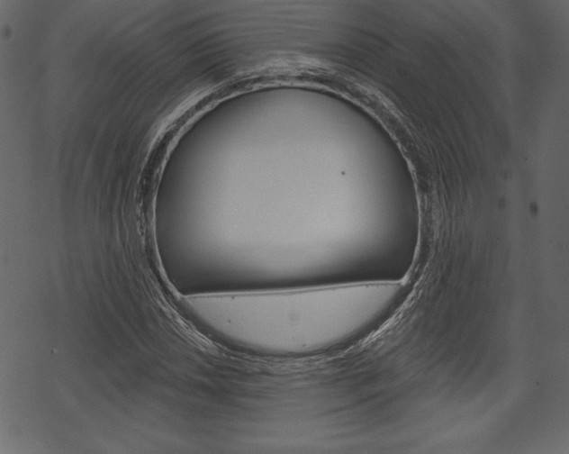X0000070221018200605261031