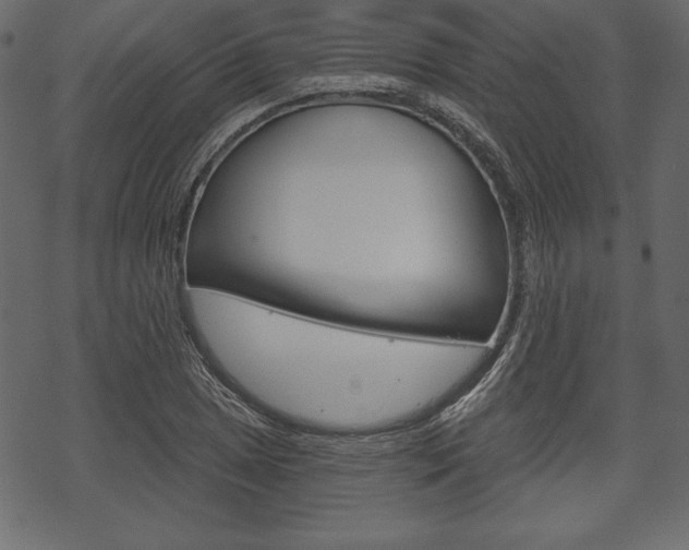 X0000070221025200605261031
