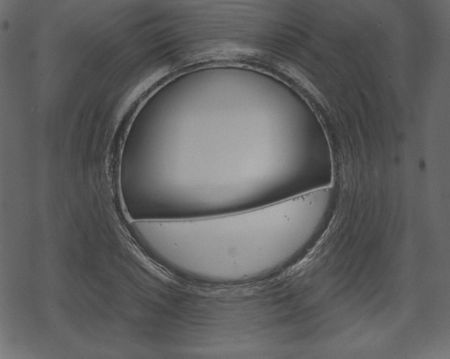 X0000070221026200605261031