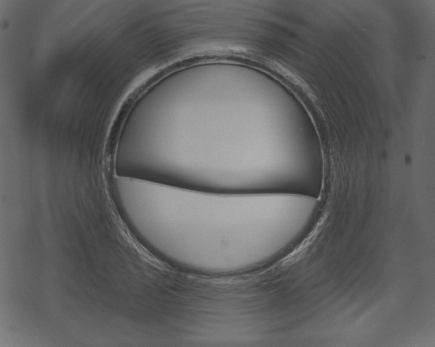 X0000070221029200605261031