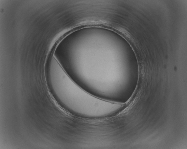 X0000070221030200605261032
