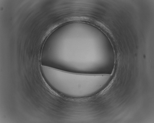X0000070221033200605261032