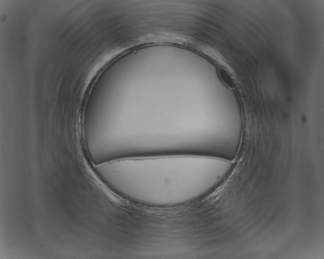 X0000070221040200605261032