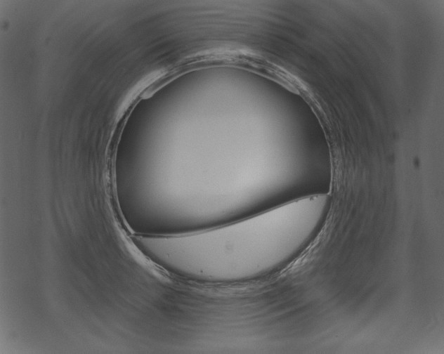 X0000070221042200605261032