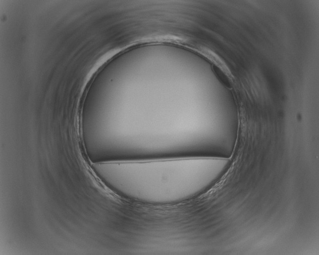 X0000070221044200605261032