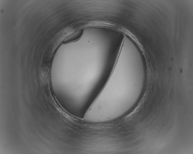 X0000070221049200605261032